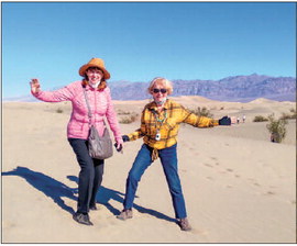 Life in Death Valley in the time of COVID