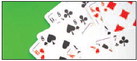 Duplicate Bridge