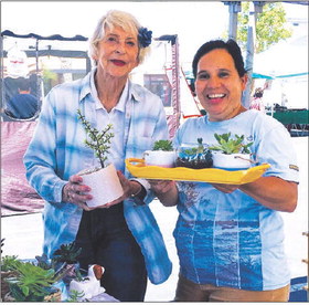 Pick up succulent arrangements at the Seal Beach Farmers Market