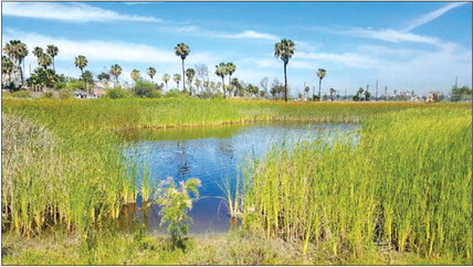 Guided nature walk, orientation set for Sept. 3