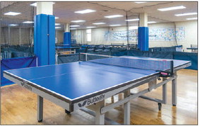 TABLE TENNIS 
	Table tennis is ….