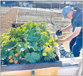 Garden plot waitlist available online