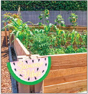 Garden Plots Available