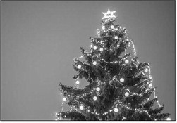 Christmas Tree Lighting: Dec. 5